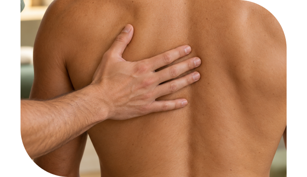 providing chiropractor services